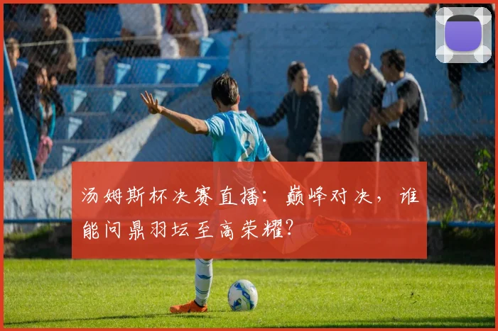 汤姆斯杯决赛直播:巅峰对决,谁能问鼎羽坛至高荣耀?